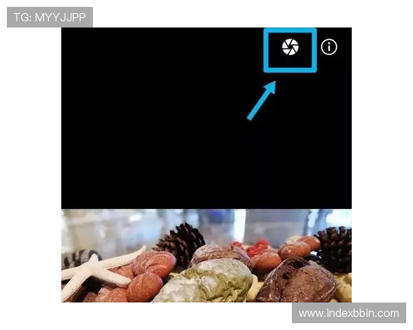 必赢437中国网站的移动端体验优化与手机登录操作指南