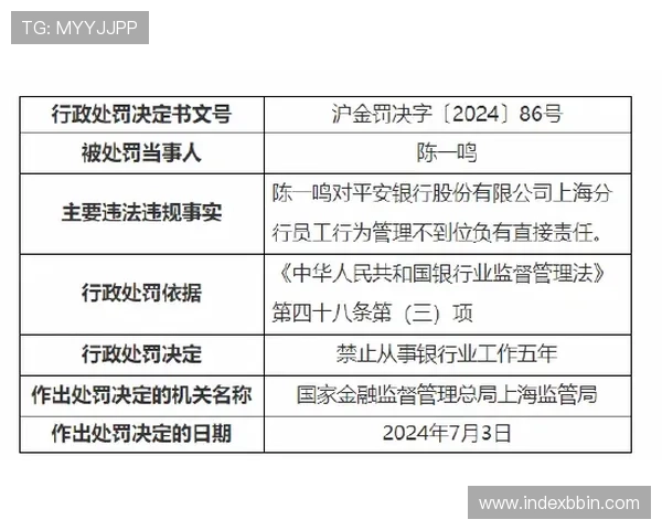 解决bbin体育到账慢难题的实用指南，确保你的资金安全快速到账